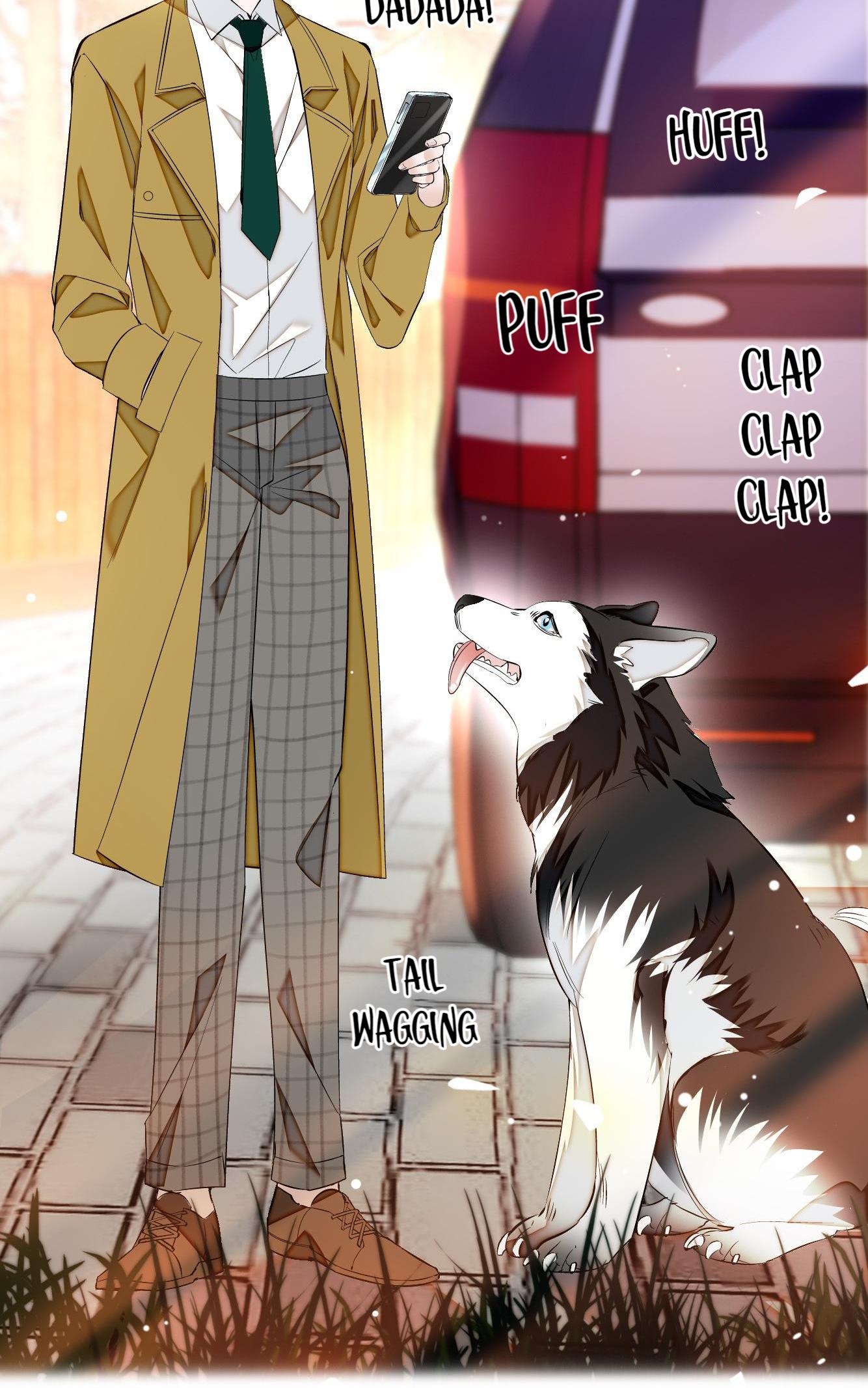 Dragon and Phoenix flip Chapter 71 - page 11