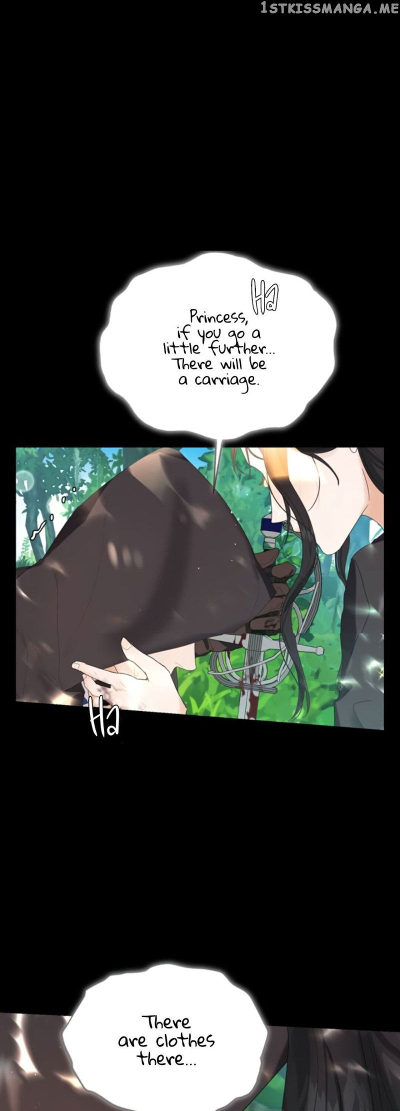 The Princess After The Revolution chapter 1 - page 12