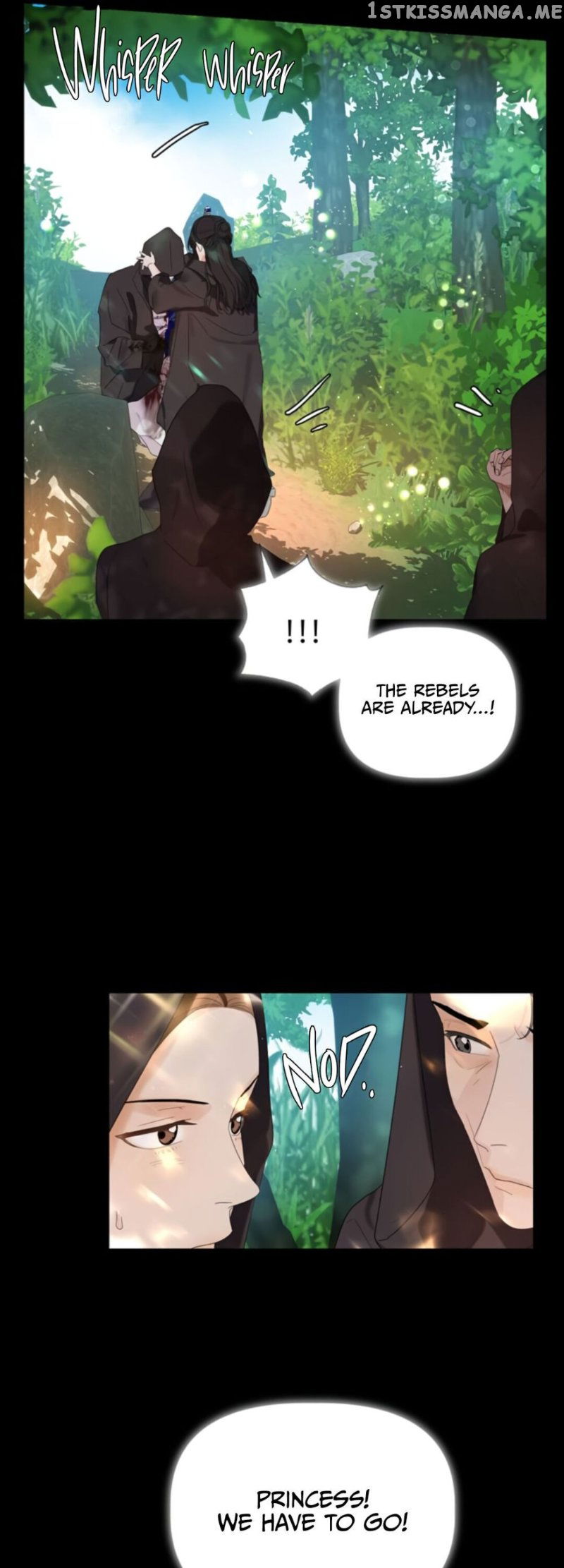 The Princess After The Revolution chapter 1 - page 14