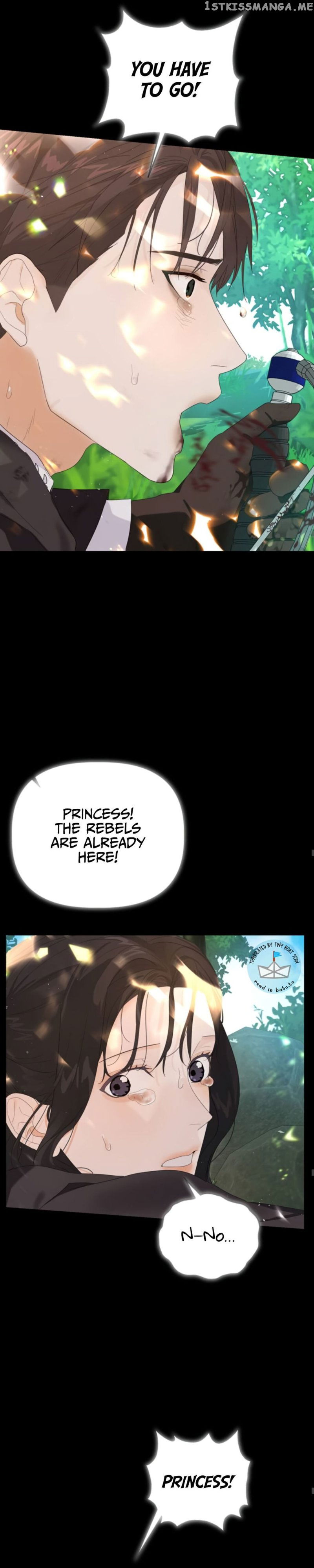 The Princess After The Revolution chapter 1 - page 18