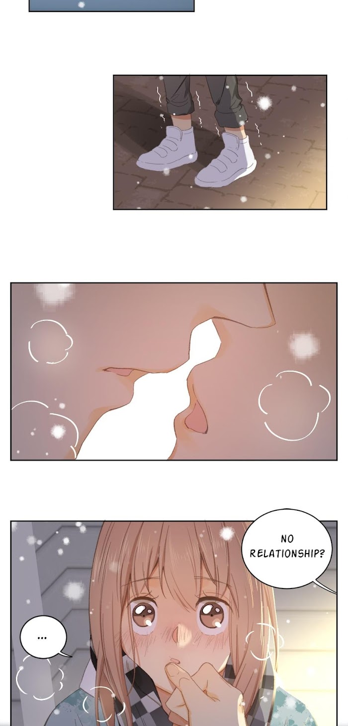 A World Ruled by Cats chapter 53 - page 2