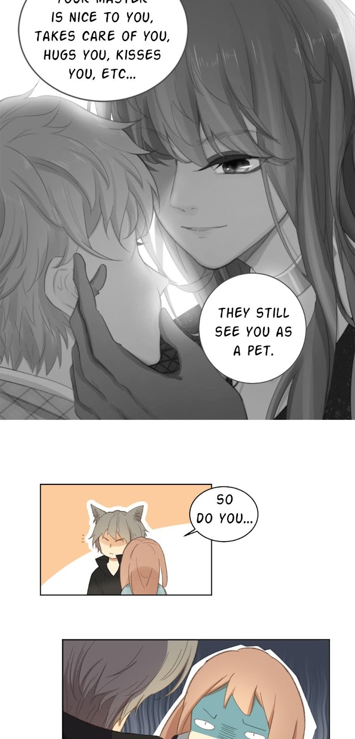A World Ruled by Cats chapter 53 - page 5