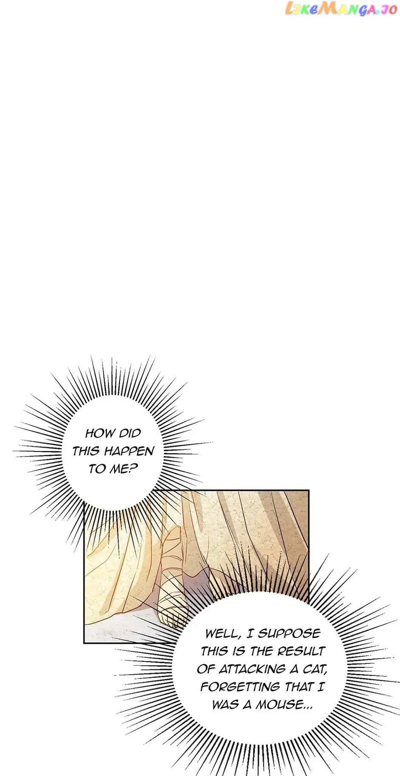 This Is An Obvious Fraudulent Marriage Chapter 19 - page 20