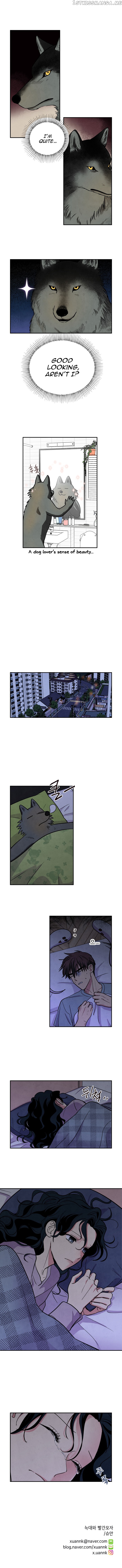 The Little Red Riding Hood chapter 38 - page 9