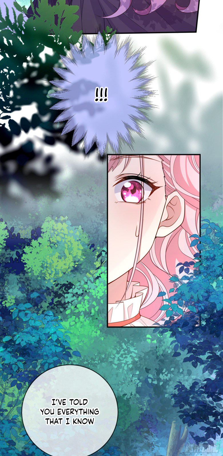 I Became the Dark Villain’s White Moonlight Chapter 36.5 - page 17