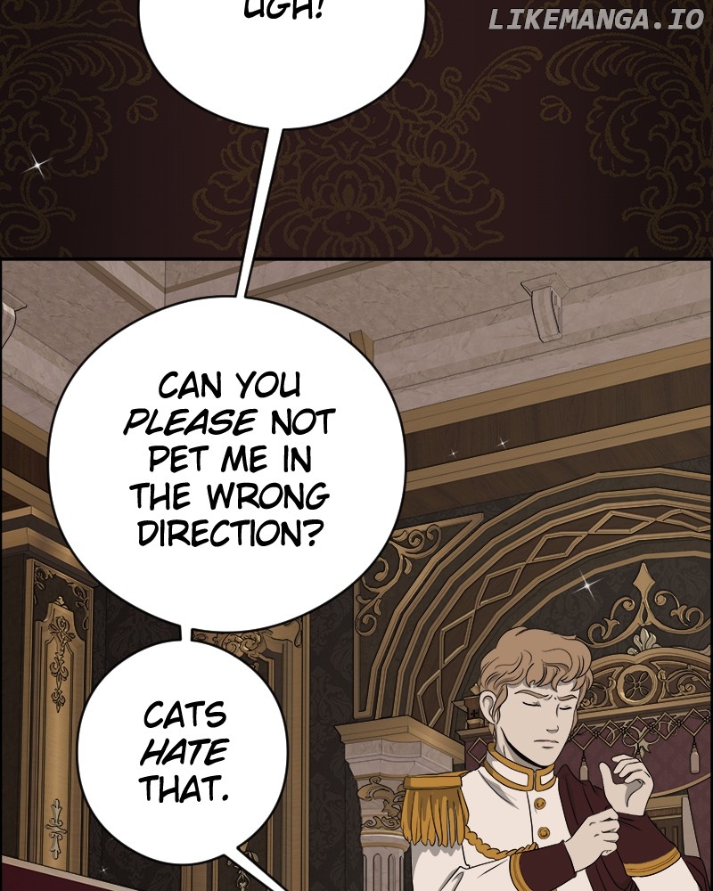 Cinderella Boy Chapter 21 - page 13