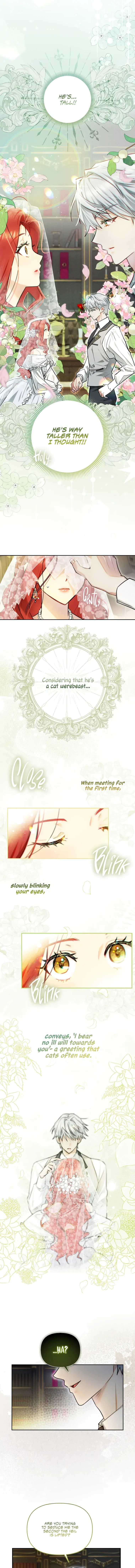 Even Though I Transmigrated as a Villainess, I’d Rather Raise a Cat Chapter 1 - page 16