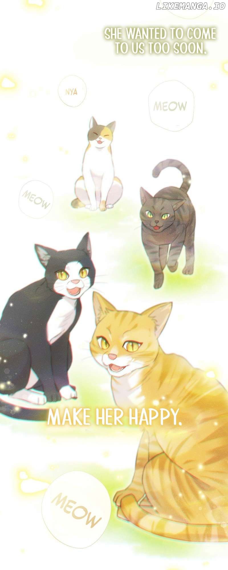 Even Though I Transmigrated as a Villainess, I’d Rather Raise a Cat Chapter 3 - page 61