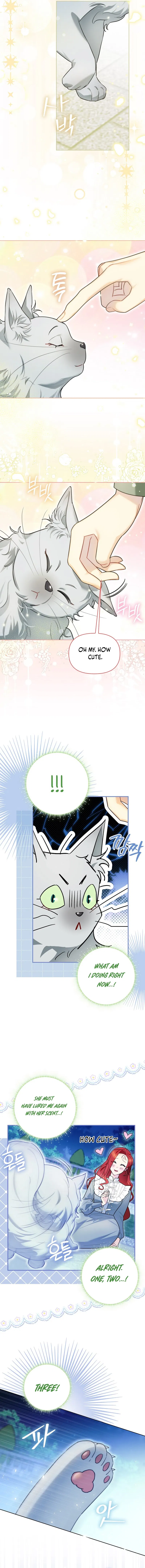 Even Though I Transmigrated as a Villainess, I’d Rather Raise a Cat Chapter 12 - page 11