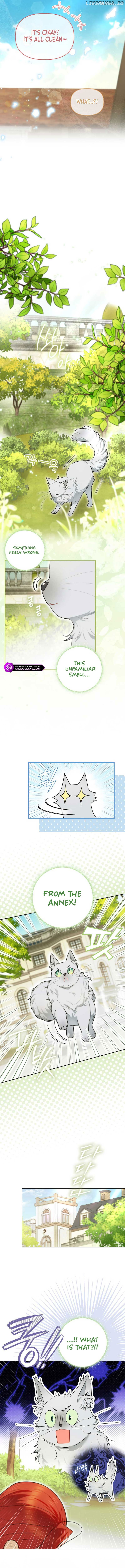 Even Though I Transmigrated as a Villainess, I’d Rather Raise a Cat Chapter 13 - page 12