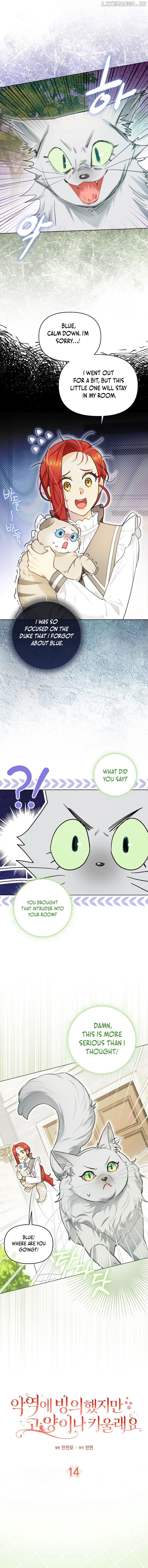 Even Though I Transmigrated as a Villainess, I’d Rather Raise a Cat Chapter 14 - page 1