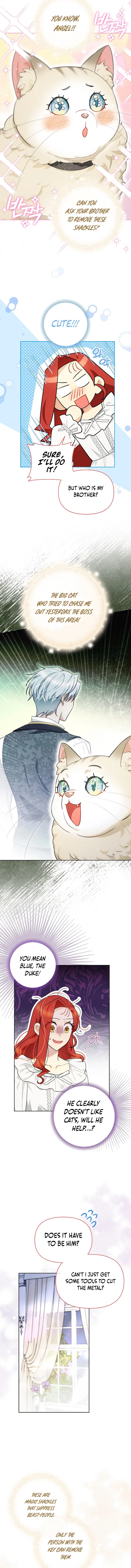 Even Though I Transmigrated as a Villainess, I’d Rather Raise a Cat Chapter 14 - page 11