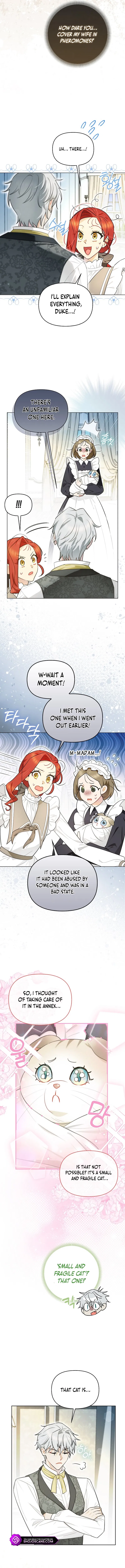 Even Though I Transmigrated as a Villainess, I’d Rather Raise a Cat Chapter 14 - page 4