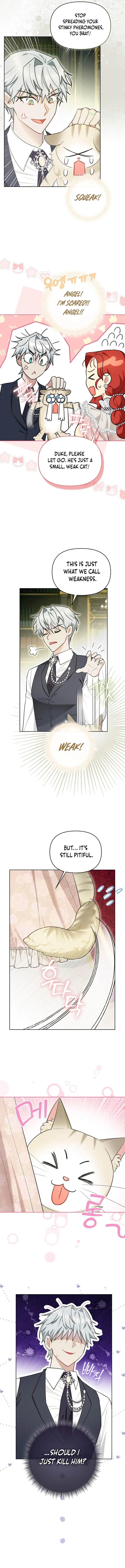 Even Though I Transmigrated as a Villainess, I’d Rather Raise a Cat Chapter 15 - page 3