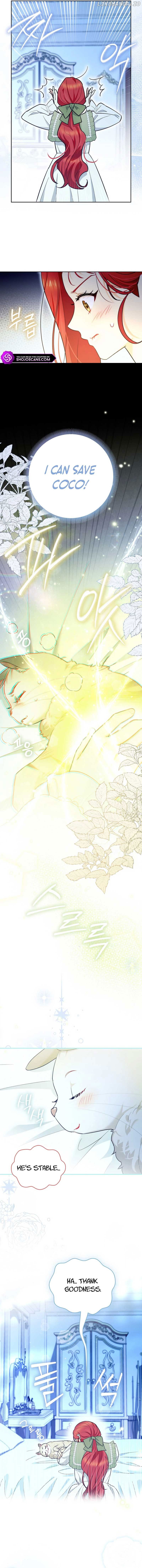 Even Though I Transmigrated as a Villainess, I’d Rather Raise a Cat Chapter 16 - page 3