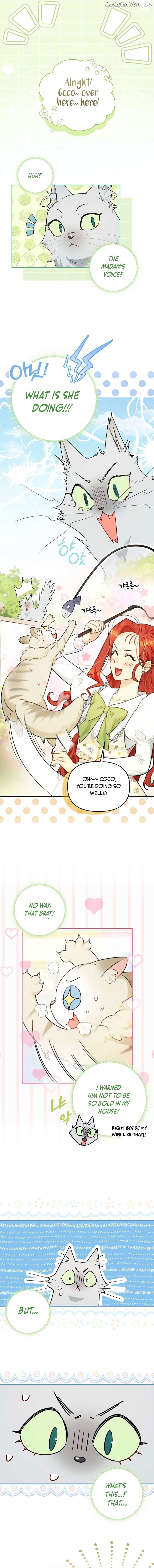 Even Though I Transmigrated as a Villainess, I’d Rather Raise a Cat Chapter 17 - page 6