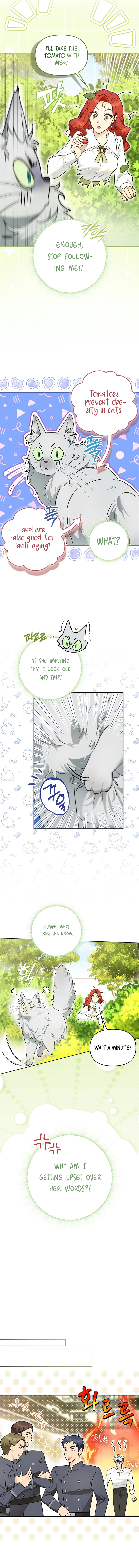 Even Though I Transmigrated as a Villainess, I’d Rather Raise a Cat Chapter 9 - page 4