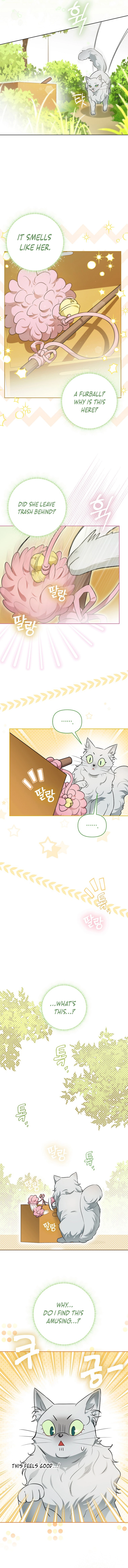 Even Though I Transmigrated as a Villainess, I’d Rather Raise a Cat Chapter 9 - page 7