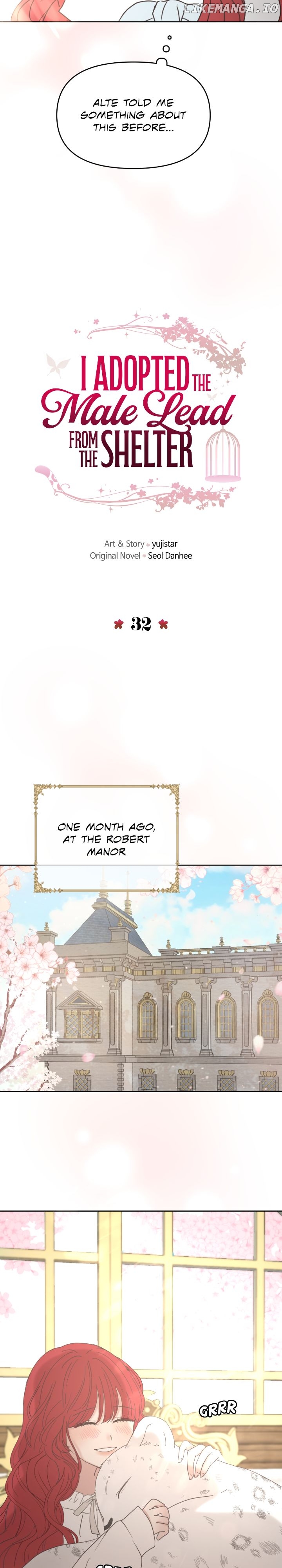 I Adopted a Male Lead From a Prison Shelter Chapter 32 - page 6
