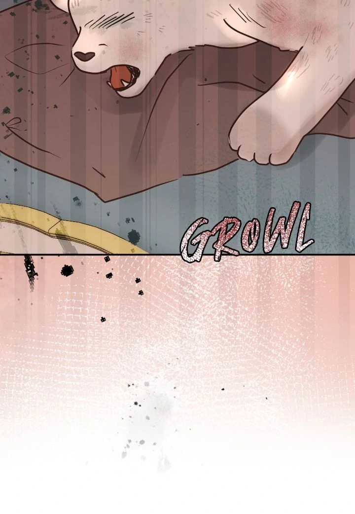 I Adopted a Male Lead From a Prison Shelter Chapter 68 - page 37