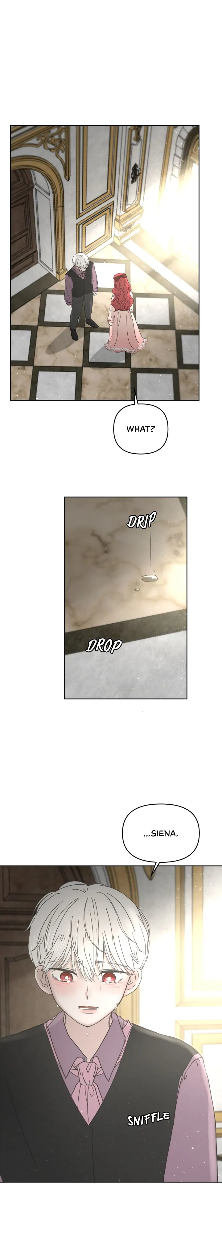 I Adopted a Male Lead From a Prison Shelter Chapter 24 - page 13
