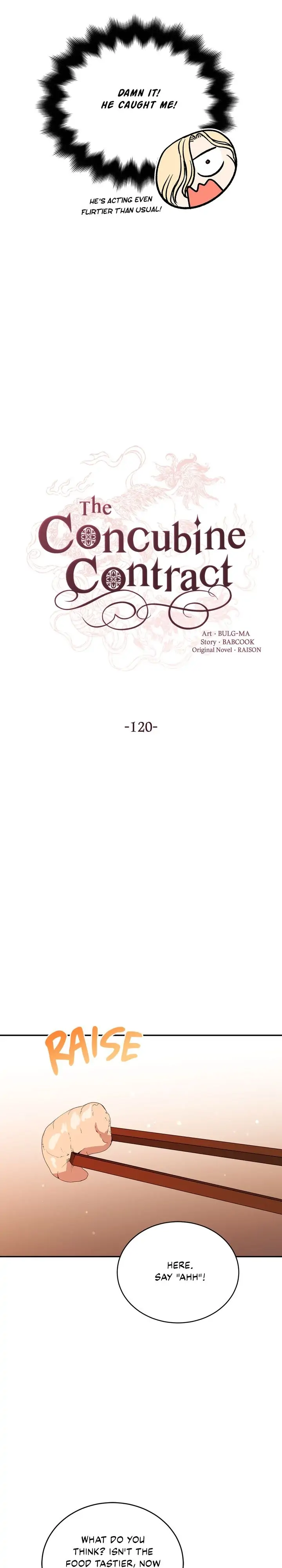 Contract Concubine Chapter 120 - page 10