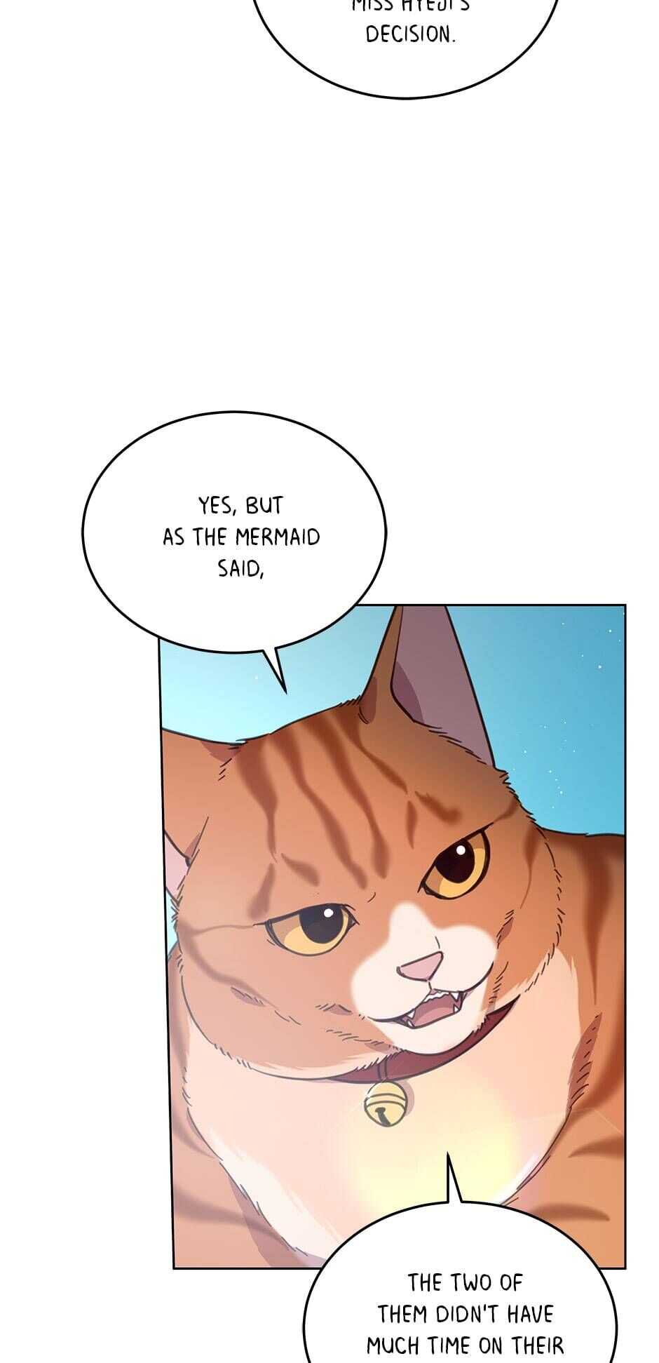 An animal hospital in the border area chapter 46 - page 13