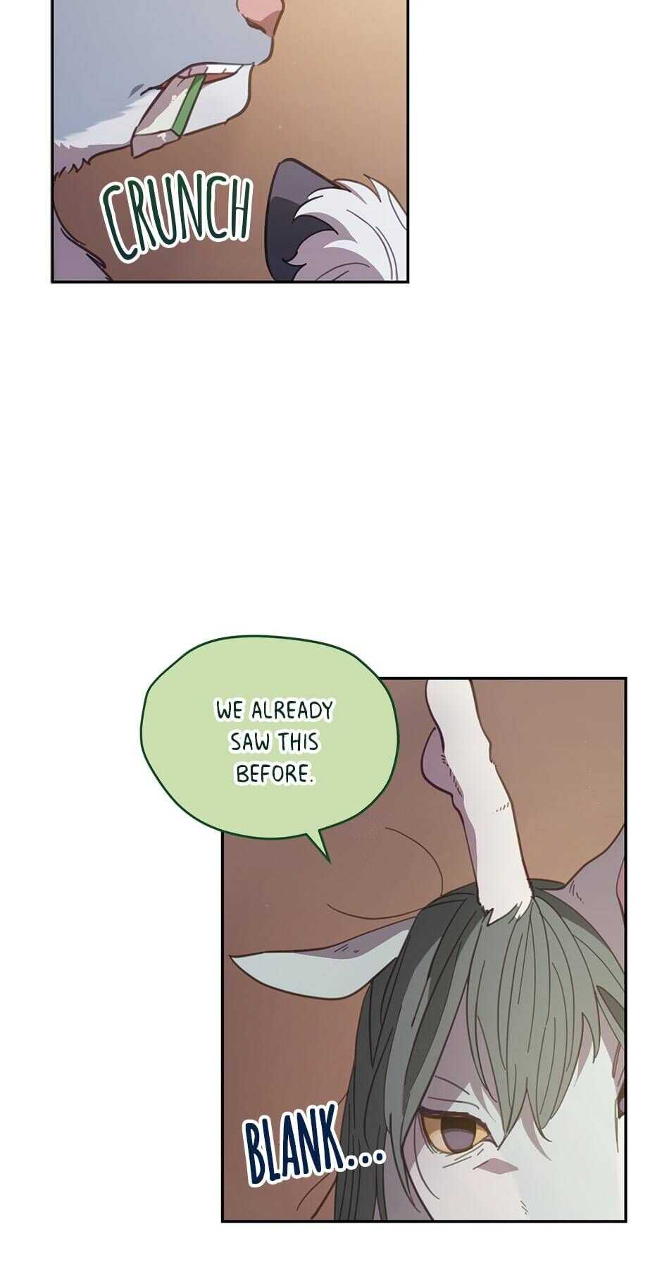 An animal hospital in the border area chapter 47 - page 38