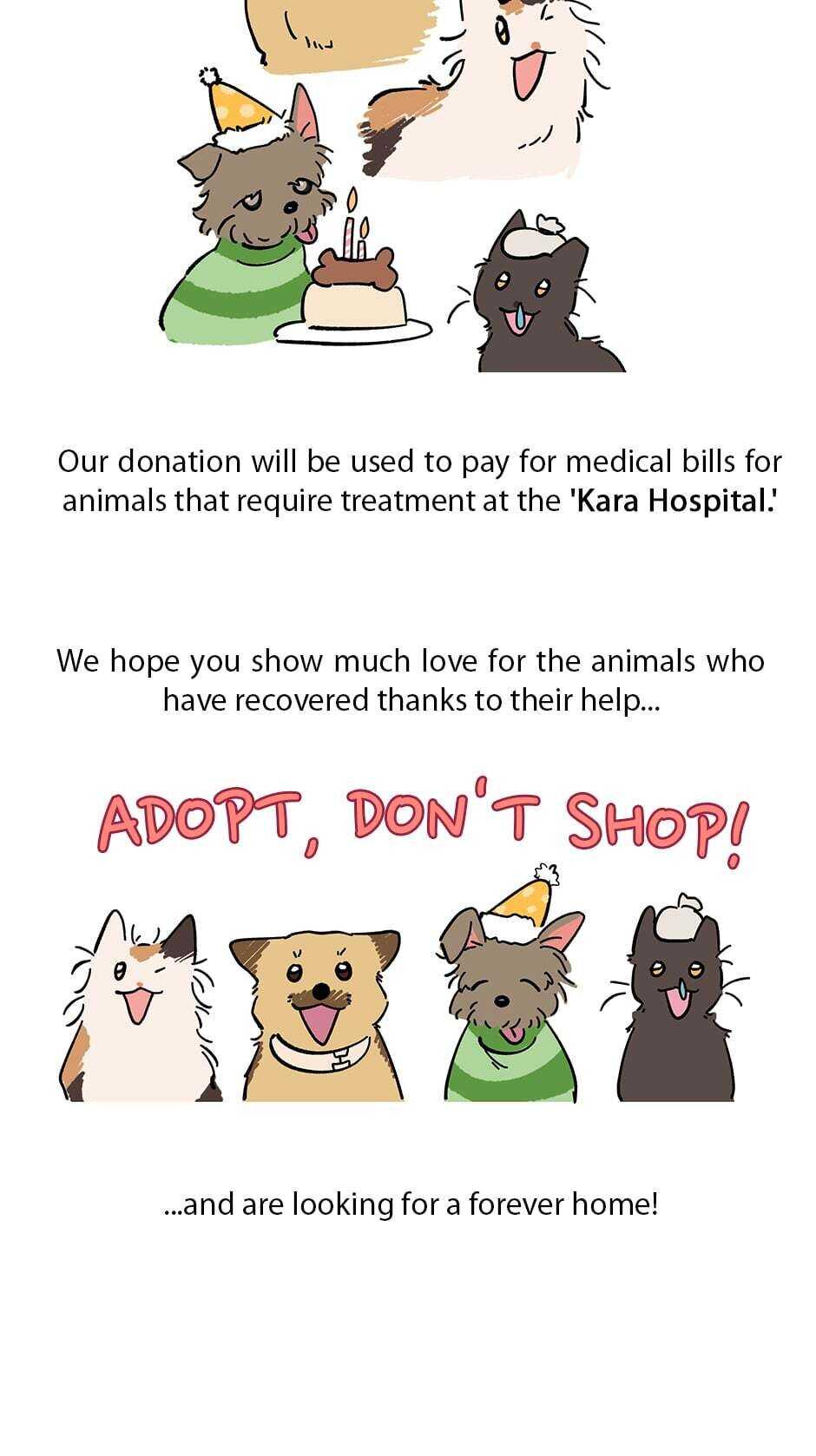 An animal hospital in the border area chapter 47 - page 71