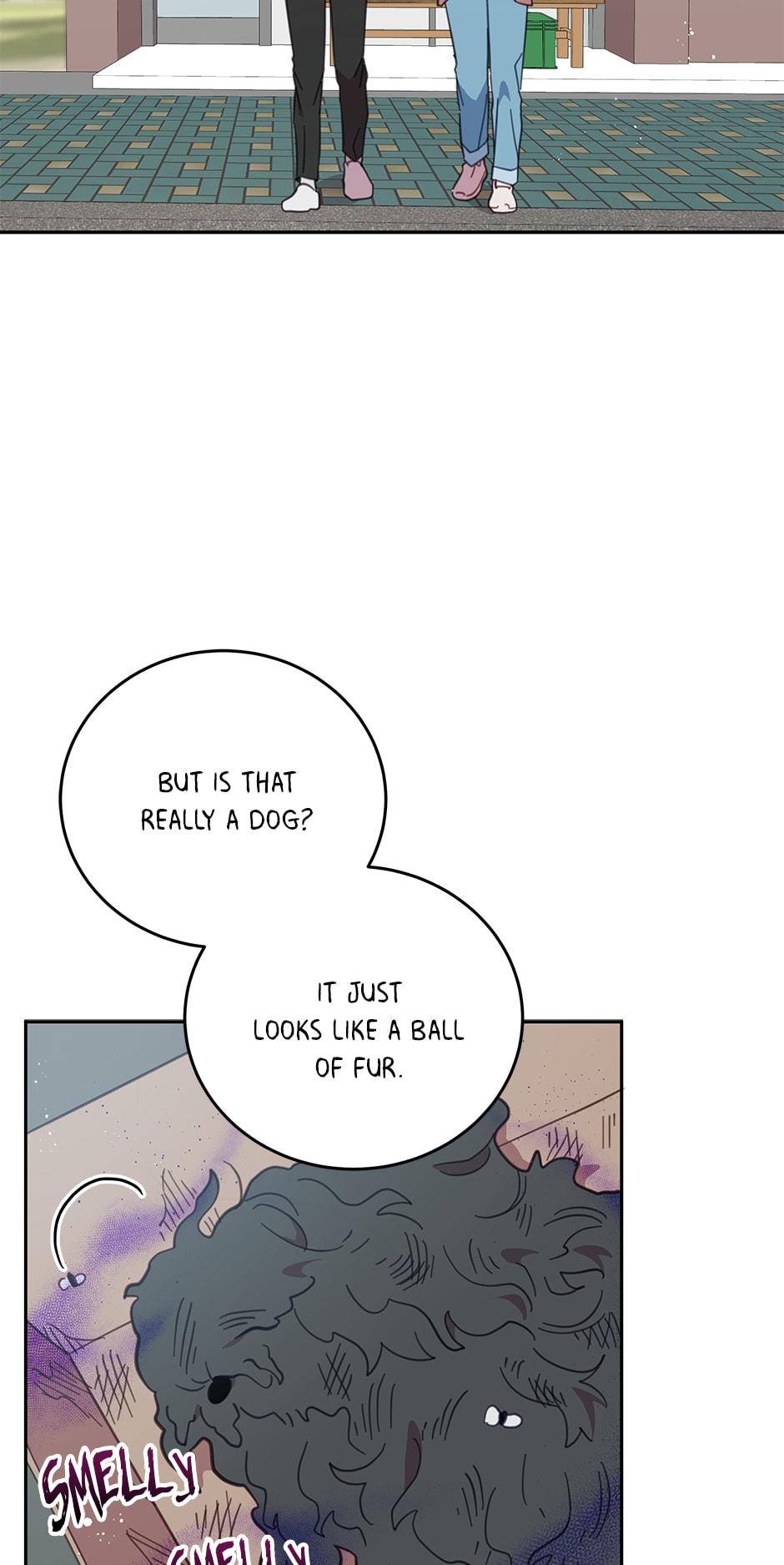 An animal hospital in the border area chapter 64 - page 41