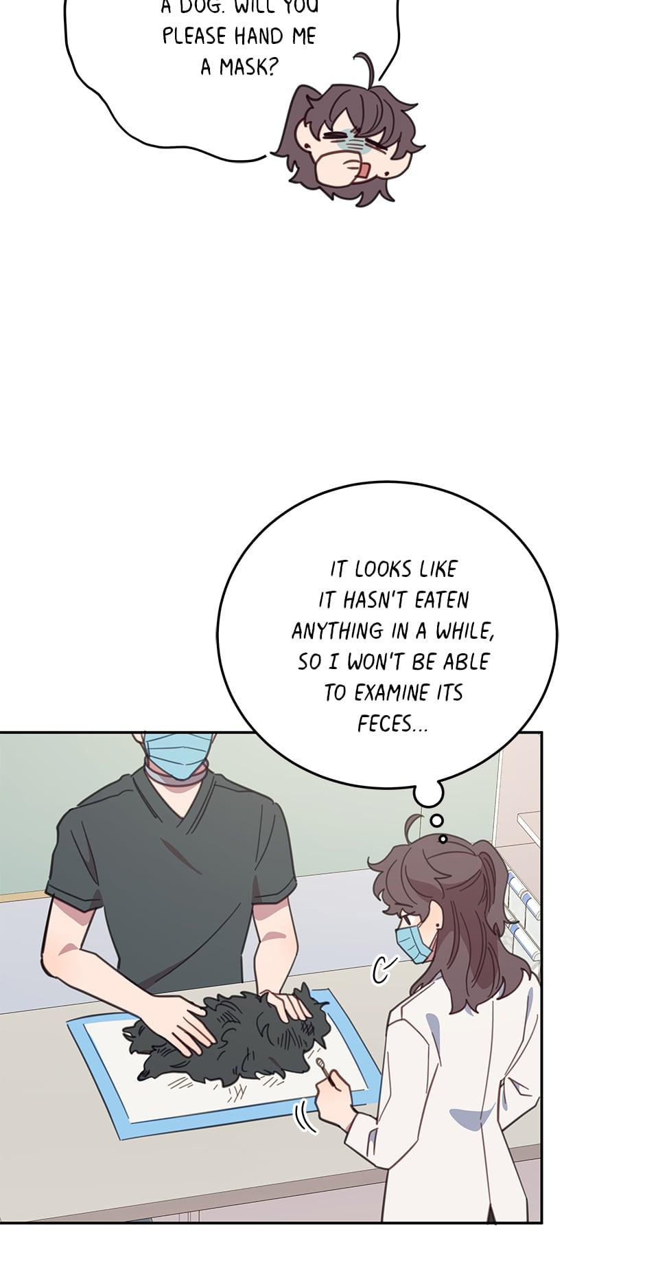 An animal hospital in the border area chapter 64 - page 44