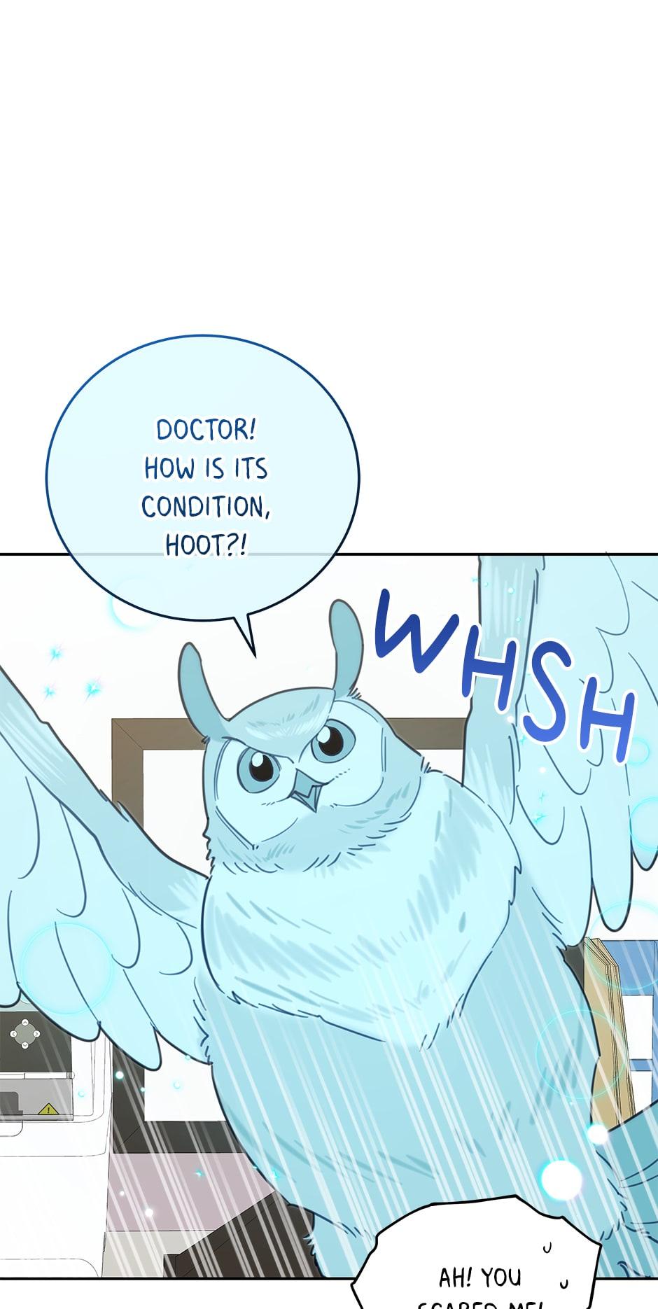 An animal hospital in the border area chapter 64 - page 46