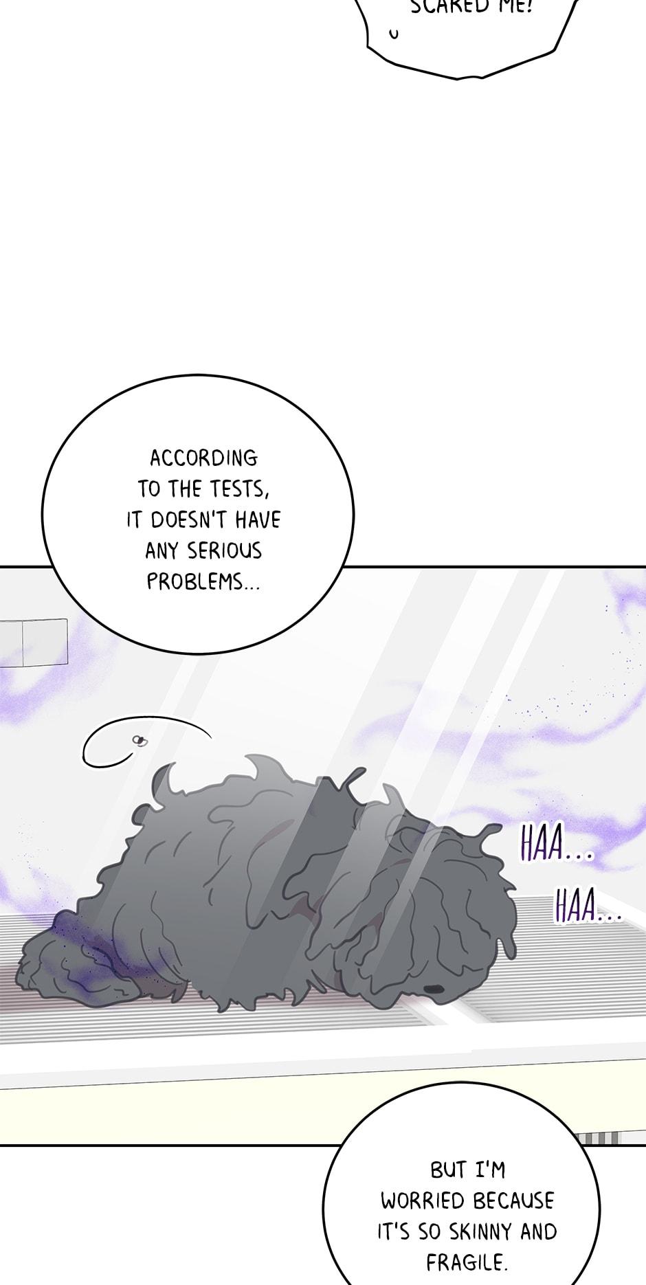An animal hospital in the border area chapter 64 - page 47