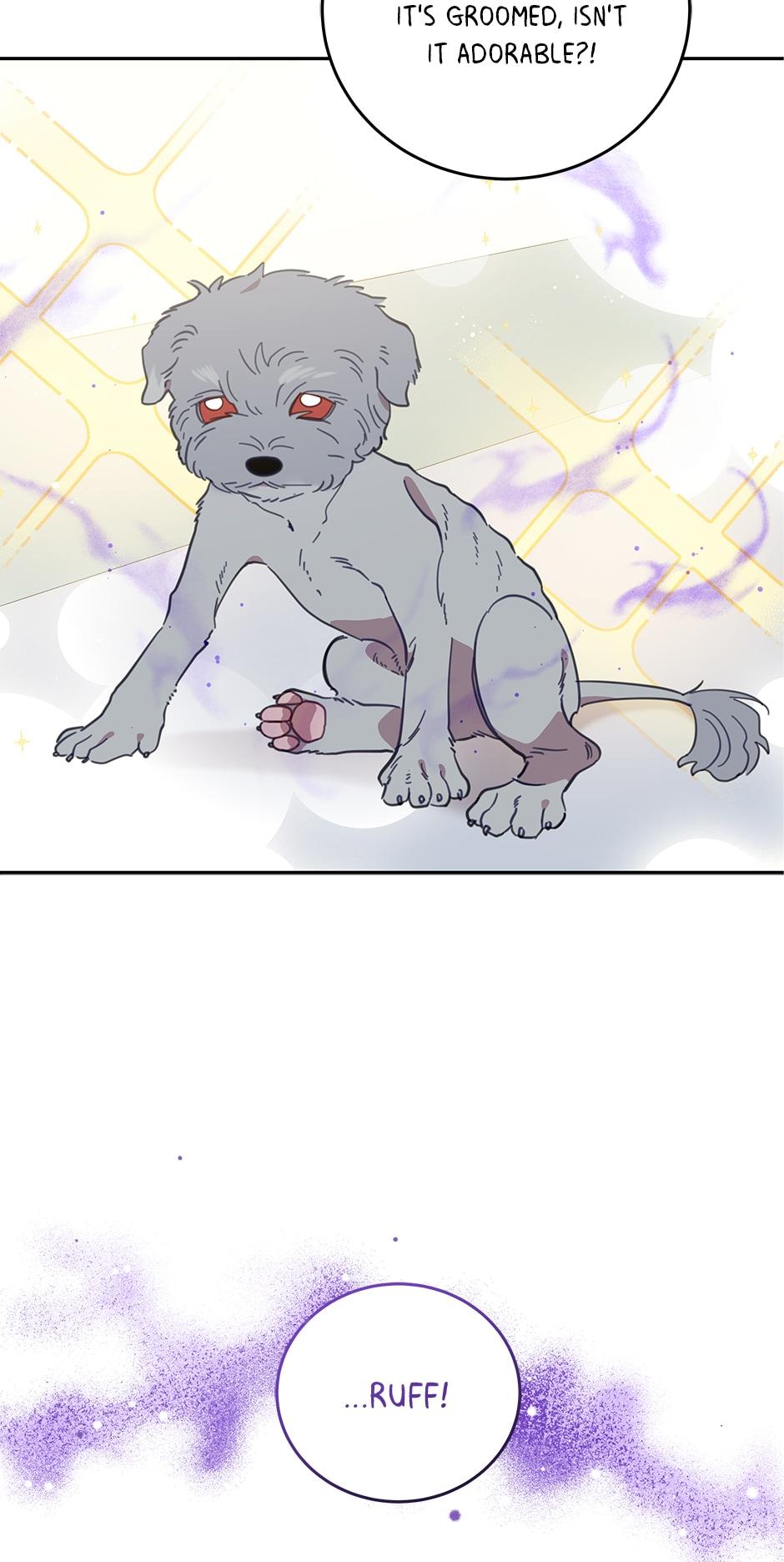 An animal hospital in the border area chapter 64 - page 59