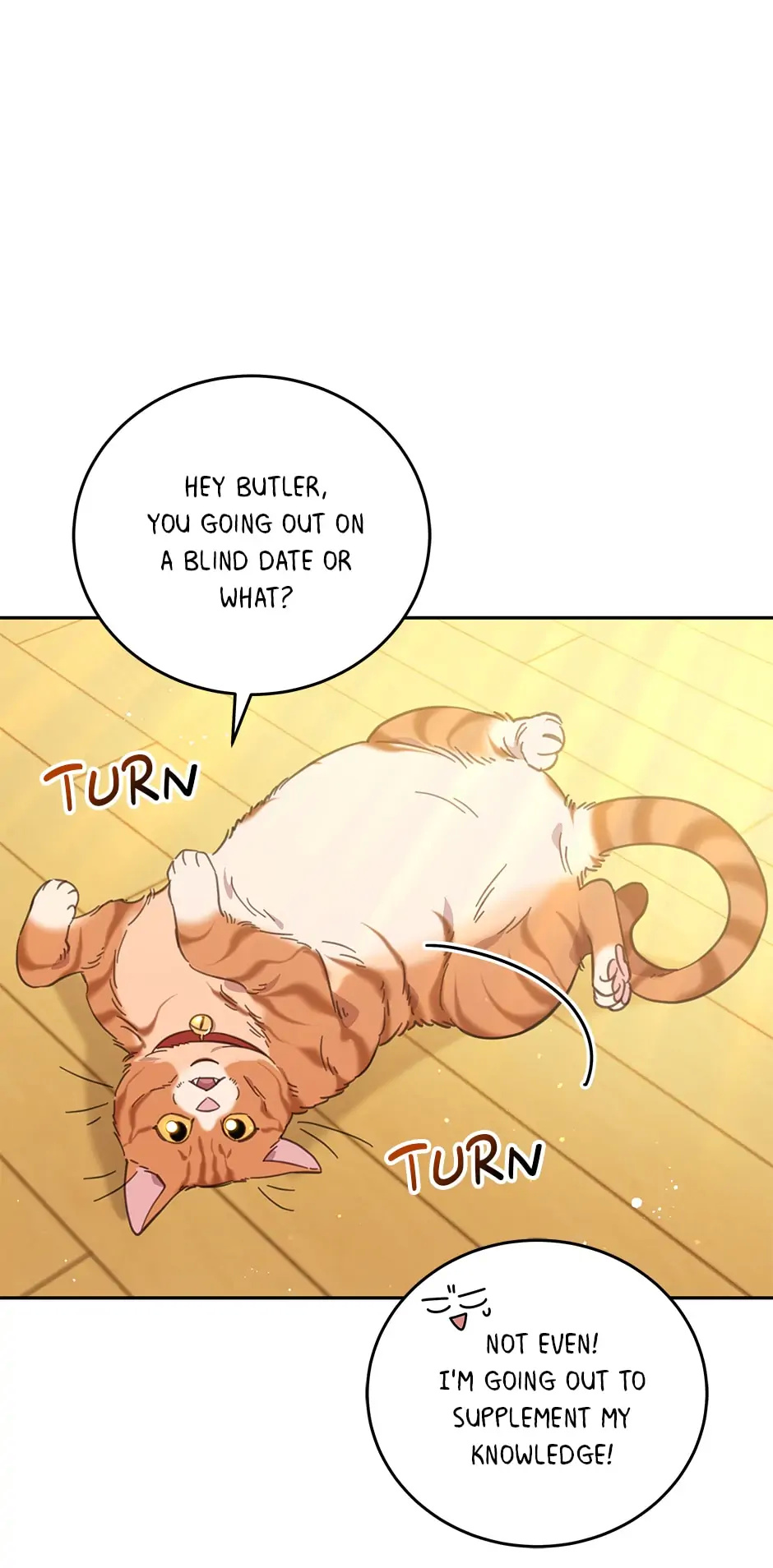 An animal hospital in the border area chapter 69 - page 17