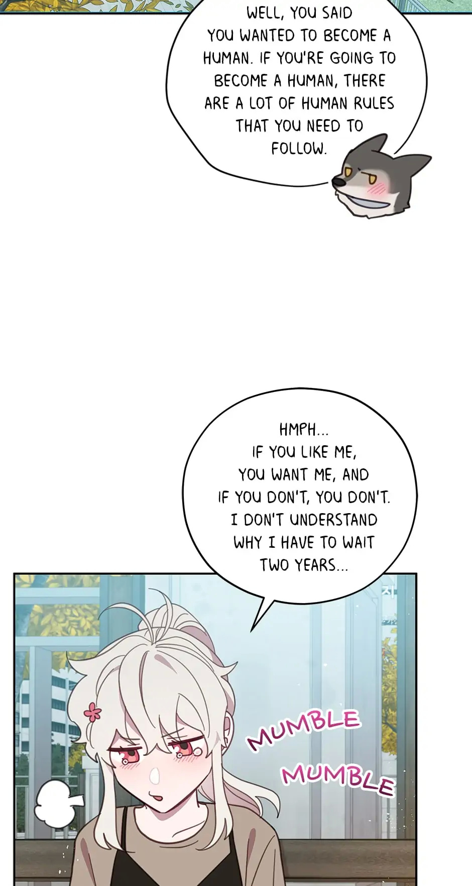 An animal hospital in the border area chapter 69 - page 5