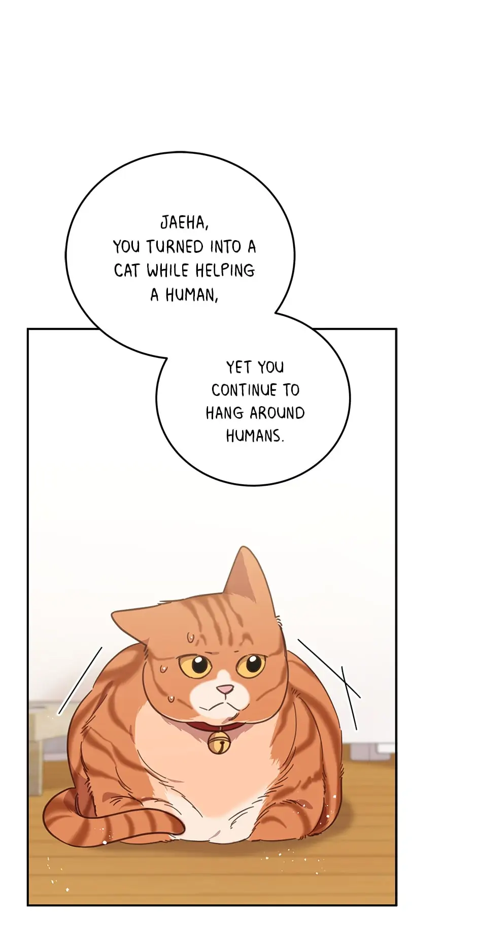 An animal hospital in the border area chapter 74 - page 7