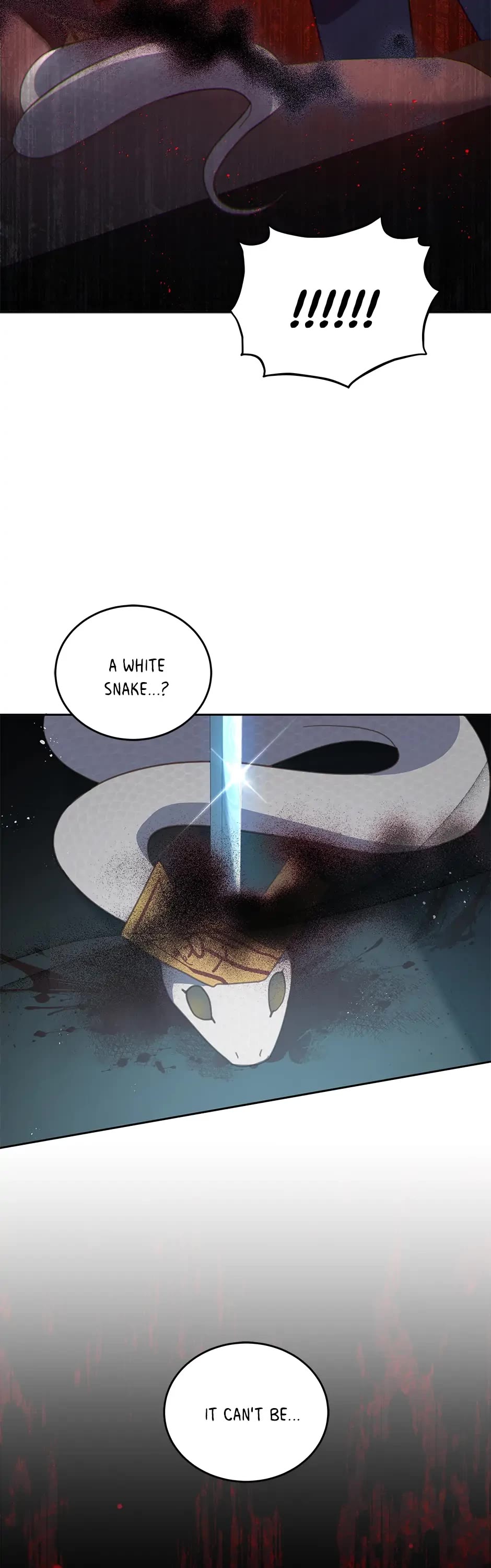 An animal hospital in the border area chapter 81 - page 36