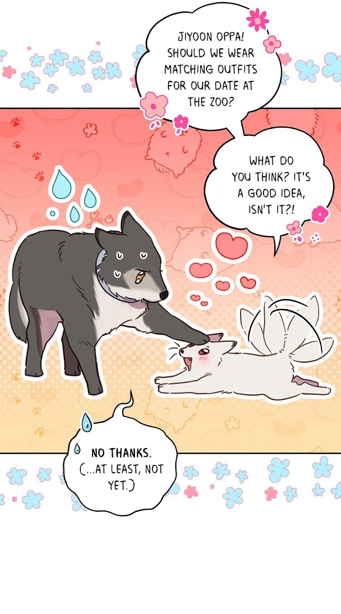 An animal hospital in the border area chapter 54 - page 72