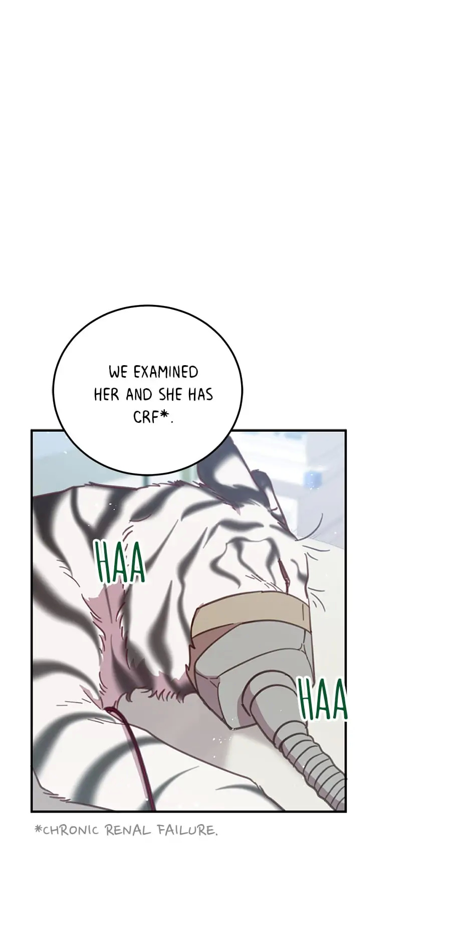 An animal hospital in the border area chapter 58 - page 29