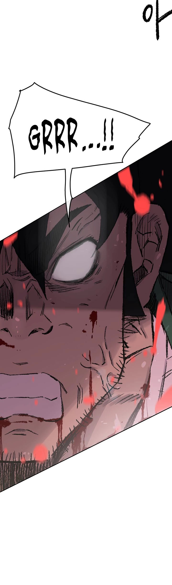The Undefeatable Swordsman chapter 74 - page 13