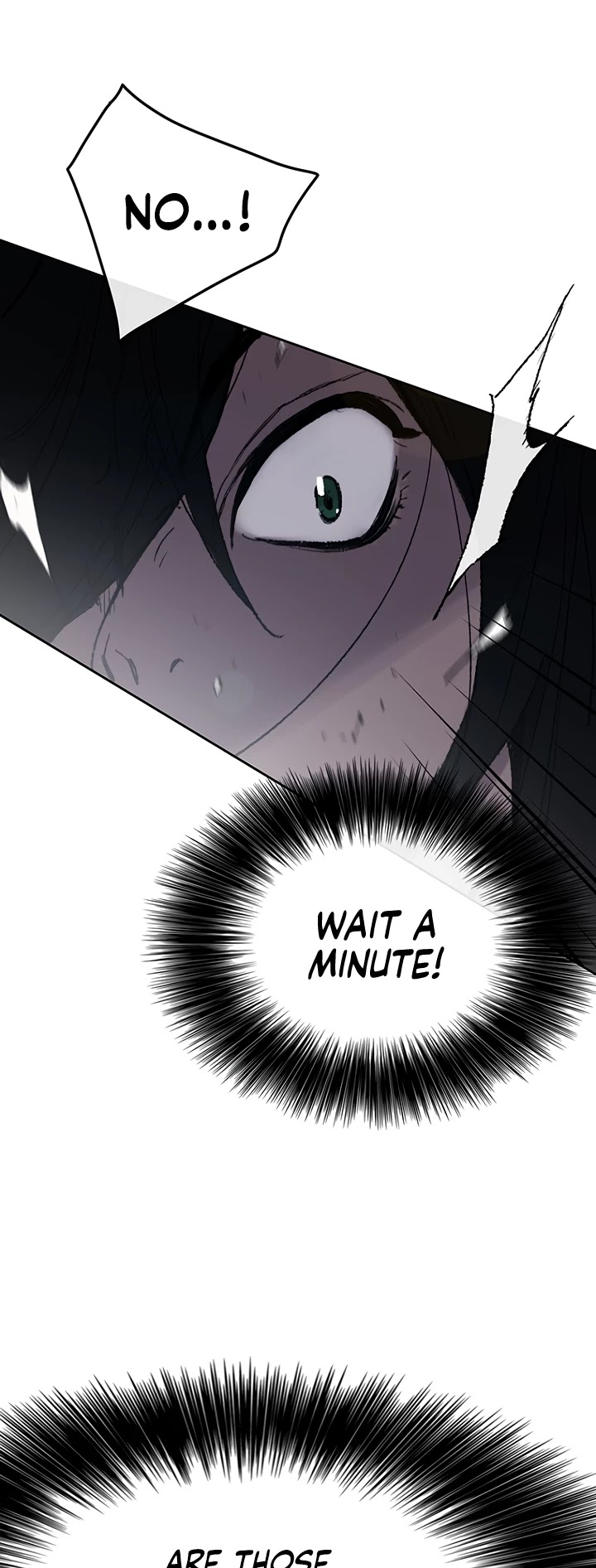 The Undefeatable Swordsman chapter 68 - page 13