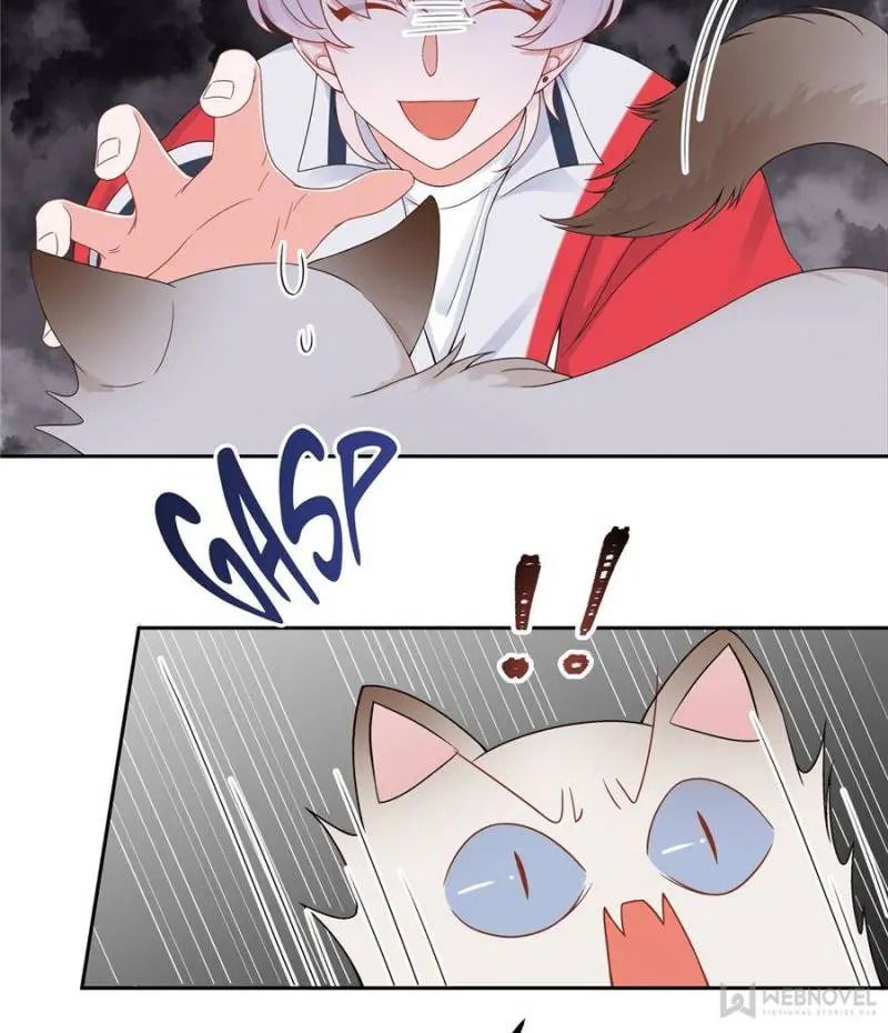 National School Prince Is A Girl chapter 51 - page 27